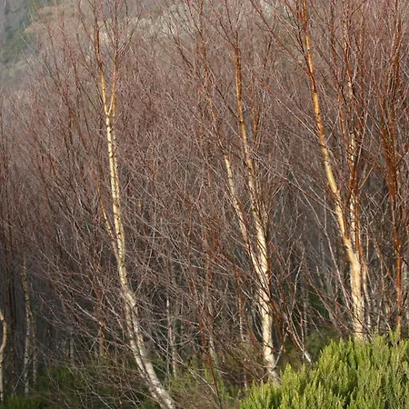 Appartement Javier *